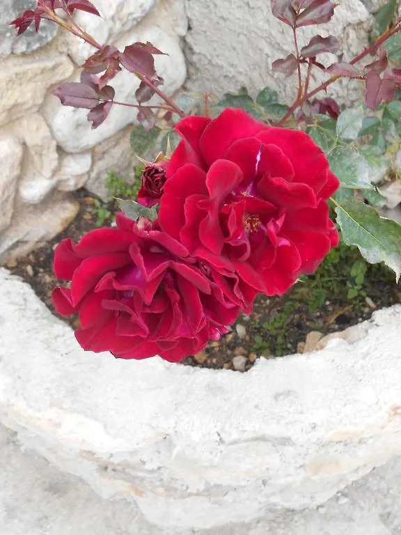 Le Mas Des Baux Bedoin Bed & Breakfast