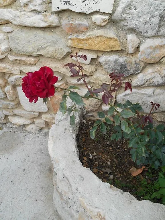 Le Mas Des Baux Bedoin