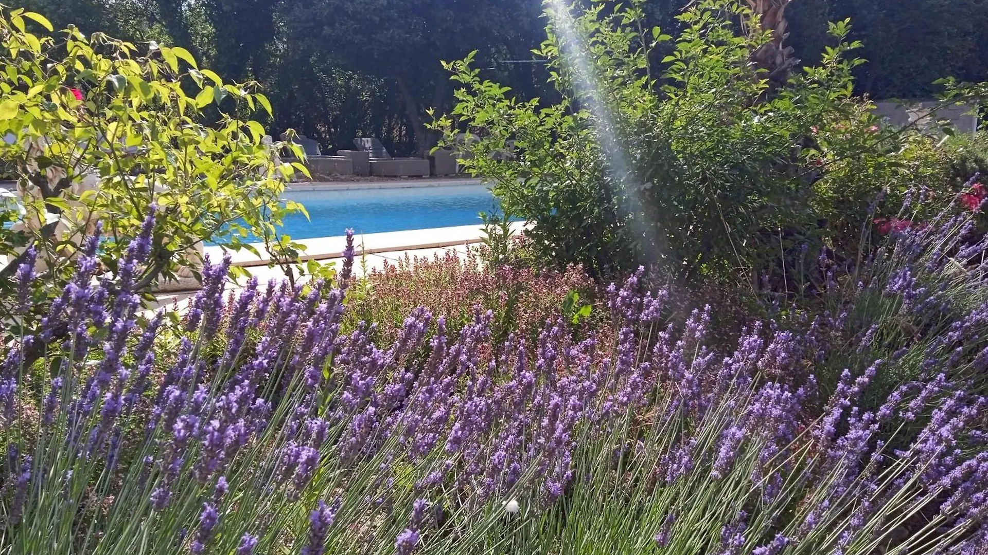 Bed & Breakfast Le Mas Des Baux Bedoin France